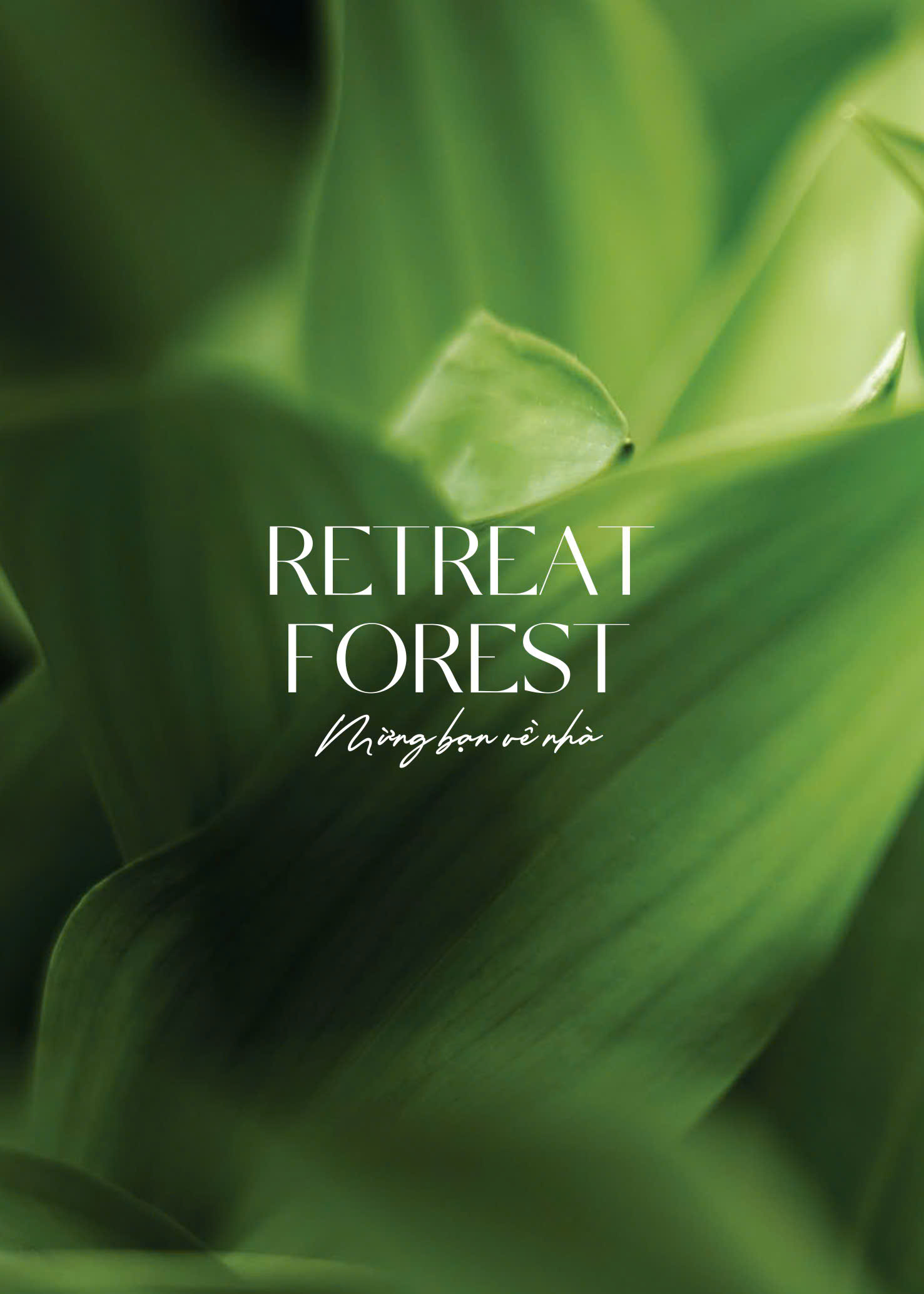 retreat forest ghomes.vn 00